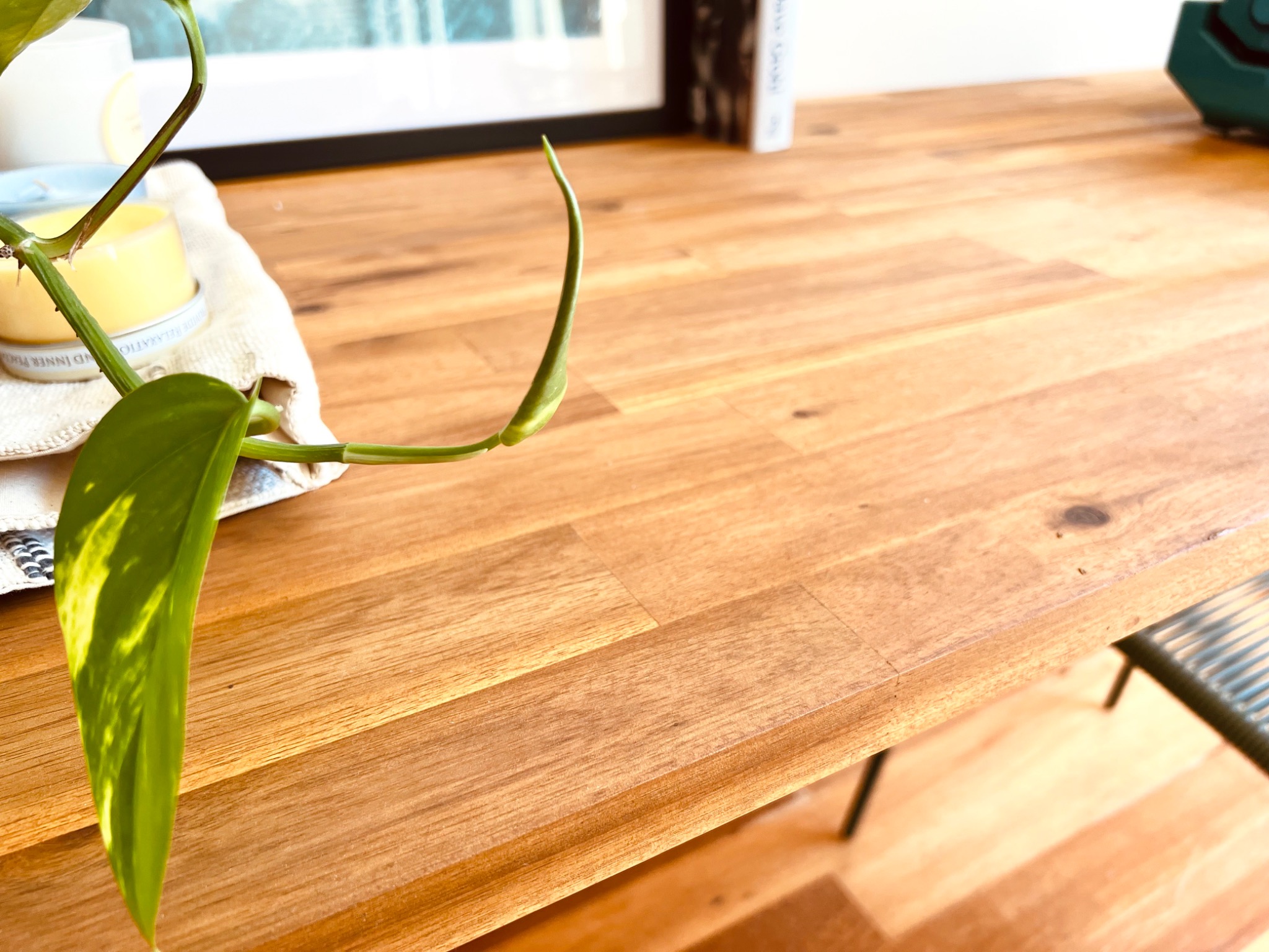 Wythfield table wood grain close-up with plant